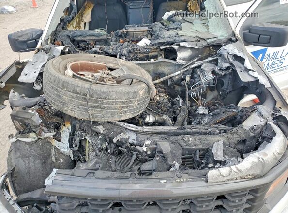 1FTEW2KP5SFC43250 2025 FORD F150 White Вид задньої частини салону