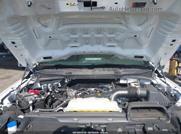 1FTEW2KP6SKE88288 2025 FORD F150 White Widok z tyłu