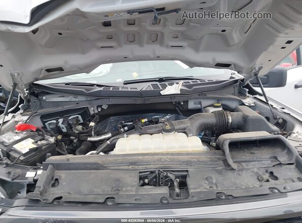 1FTEW2KPXRKE21879 2024 FORD F150 Серый Вид сзади