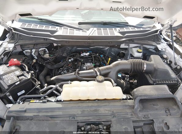 1FTEW2KPXSFA98545 2025 FORD F150 Белый Вид сзади