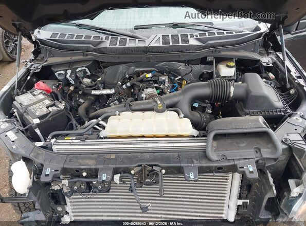 1FTEW2LP0RFB42898 2024 FORD F150 Black უკანა ხედი