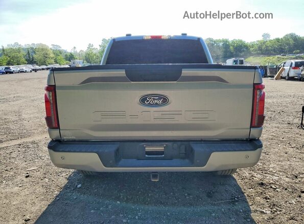 1FTEW2LP1SKD77419 2025 FORD F150 Серый Вид сзади