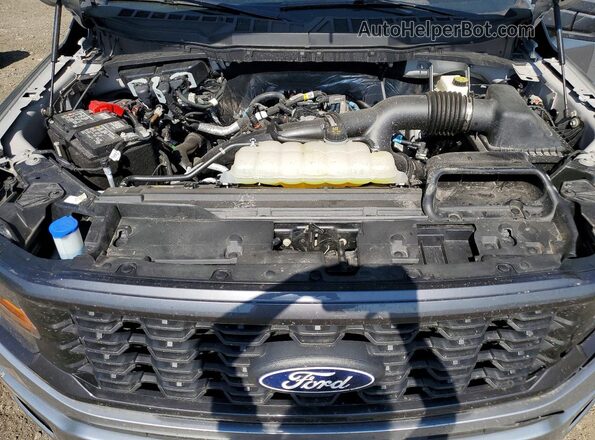 1FTEW2LP1SKD77419 2025 FORD F150 Серый Вид задней части салона