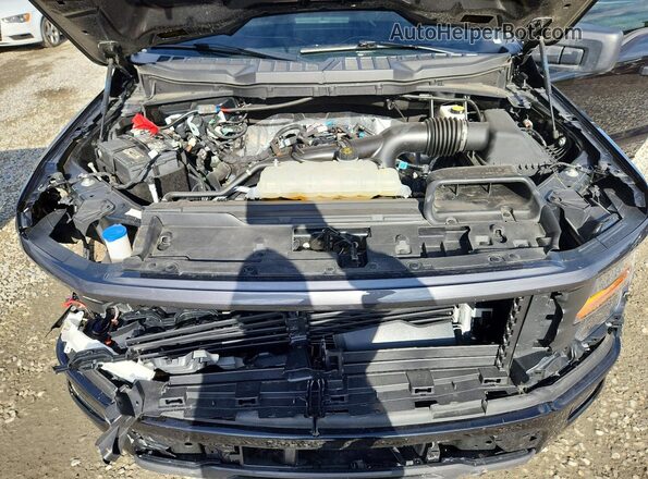 1FTEW2LP1SKE42981 2025 FORD F150 Black 