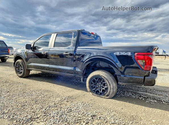 1FTEW2LP1SKE42981 2025 FORD F150 Black 