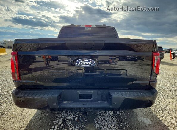1FTEW2LP1SKE42981 2025 FORD F150 Black 