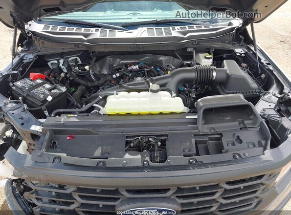 1FTEW2LP2TKD67628 2026 FORD F150 Pewter უკანა ხედი