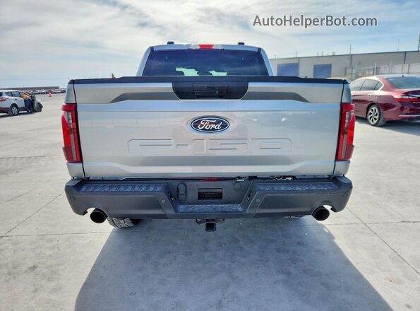 1FTEW2LP3SKF29992 2025 FORD F150 Silver უკანა ხედი