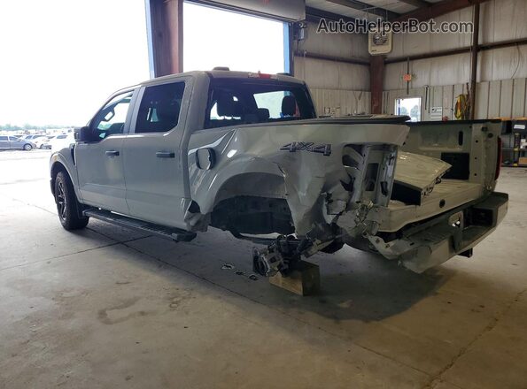 1FTEW2LP4RKE58795 2024 FORD F150 Gray 