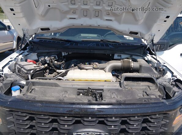 1FTEW2LP5RKE72625 2024 FORD F150 Белый Вид сзади