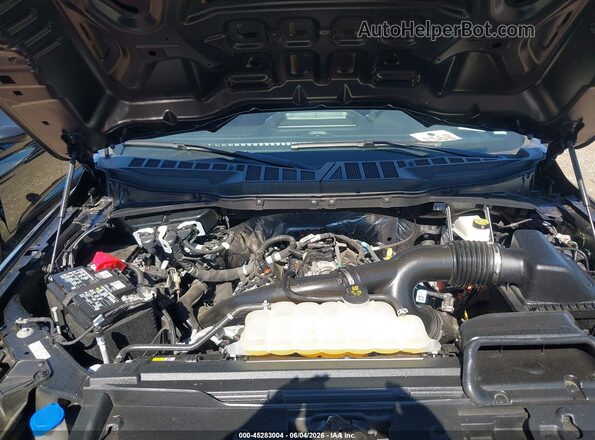 1FTEW2LPXSFA88418 2025 FORD F150 Black Вид ззаду