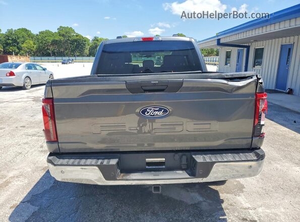 1FTEW3K55SKE63368 2025 FORD F150 Gray Հետևի տեսք