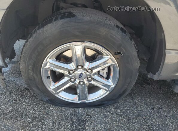 1FTEW3K55SKE63368 2025 FORD F150 Gray 