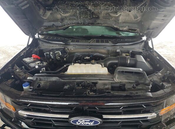 1FTEW3KP9SKE53802 2025 FORD F150 Gray Engine compartment view