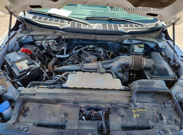 1FTEW3LP0RFA57324 2024 FORD F150 White Вид задньої частини салону