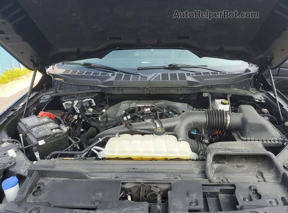 1FTEW3LP0SFB51421 2025 FORD F150 Black Սալոնի հետևի տեսք