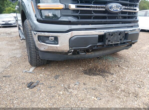 1FTEW3LP1SKE06195 2025 FORD F150 Gray Widok z przodu