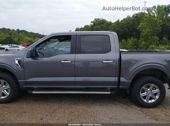 1FTEW3LP1SKE06195 2025 FORD F150 Gray Widok wnętrza 360 stopni
