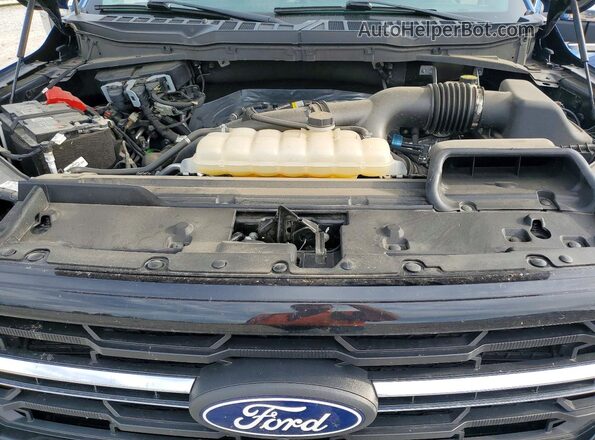 1FTEW3LP3RKE27592 2024 FORD F150 Blue Вид задньої частини салону