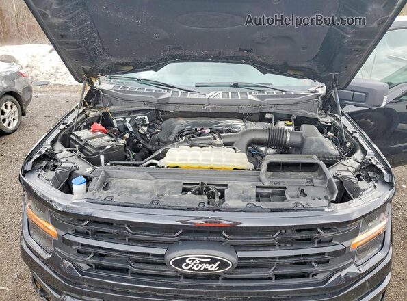 1FTEW3LP3SKF25947 2025 FORD F150 Black Вид задньої частини салону
