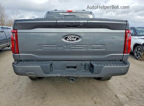 1FTEW3LP4TKD21210 2026 FORD F150 Gray უკანა ხედი
