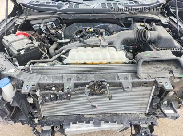 1FTEW3LP6SKD42459 2025 FORD F150 Black Սալոնի հետևի տեսք