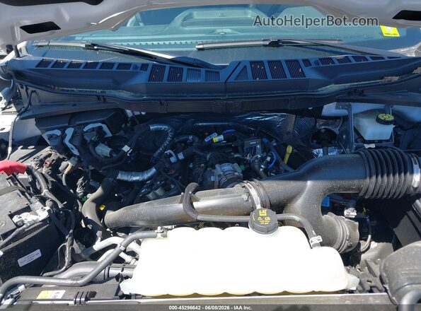 1FTEW3LP7RFC23192 2024 FORD F150 Белый Вид сзади