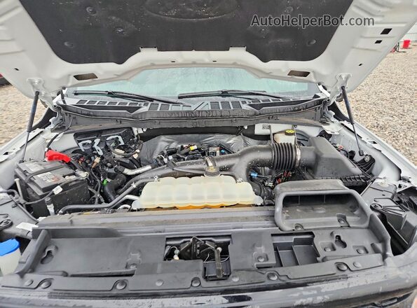 1FTEW3LP7RKF75860 2024 FORD F150 Белый Вид задней части салона
