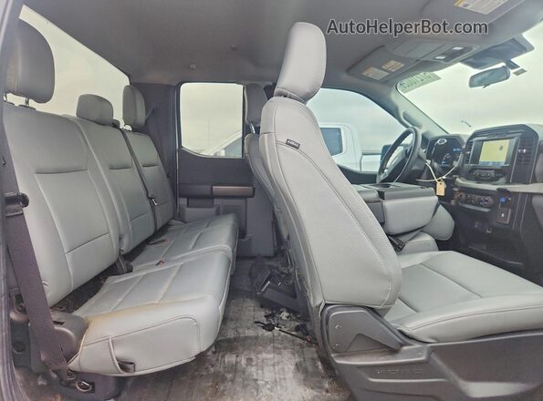 1FTEX1C54PKG02056 2023 FORD F150 White უკანა სავარძლების ხედი