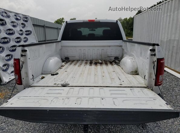 1FTEX1CP1HKE05042 2017 FORD F150 White 