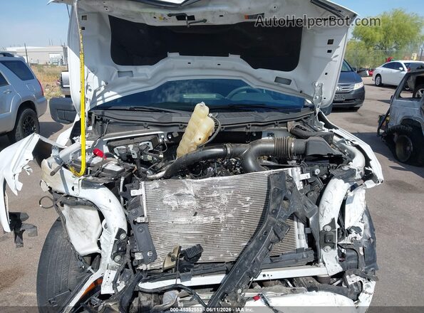 1FTEX1CP6PKE66949 2023 FORD F150 White Հետևի տեսք