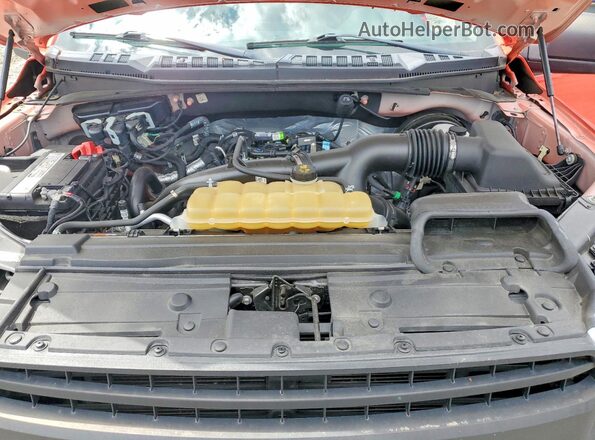 1FTEX1CP7LKD67650 2020 FORD F150 Red 
