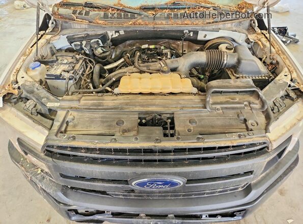 1FTEX1CP9KKC08076 2019 FORD F150 White 