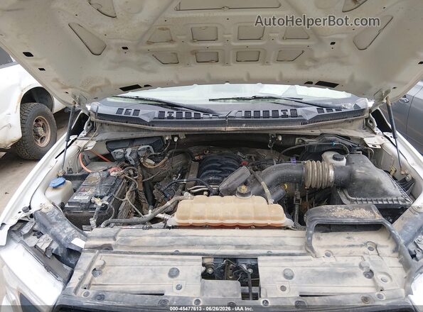 1FTEX1E51KKE96767 2019 FORD F150 White Widok z tyłu