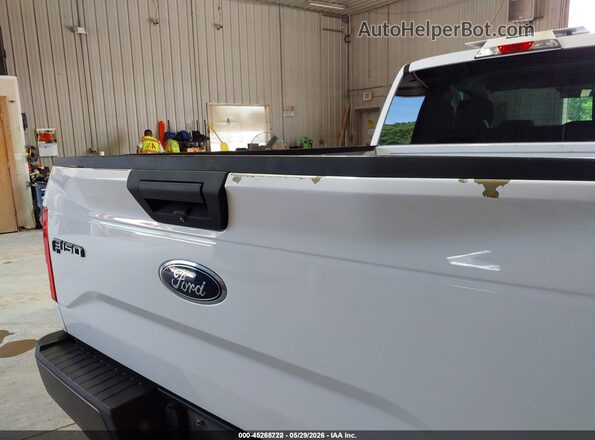 1FTEX1E82HKE40775 2017 FORD F150 White 