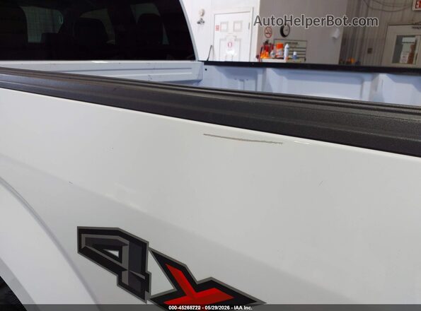 1FTEX1E82HKE40775 2017 FORD F150 White 