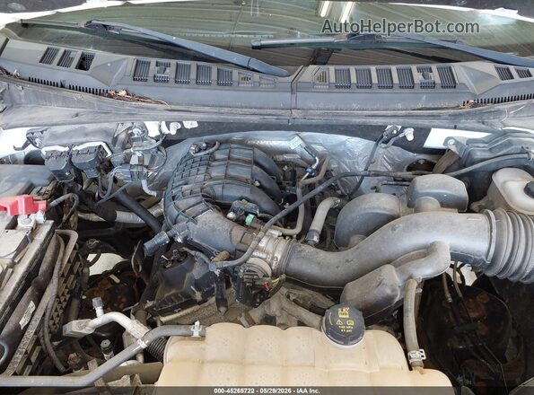 1FTEX1E82HKE40775 2017 FORD F150 White უკანა ხედი