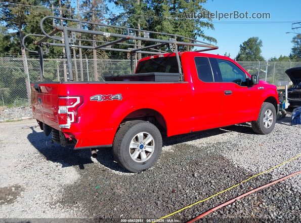 1FTEX1EB1KKE16051 2019 FORD F150 Red Задня права чверть