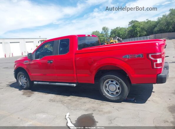 1FTEX1EB2KKD76921 2019 FORD F150 Красный Панорамный вид салона 360°