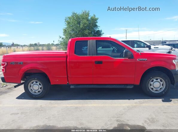 1FTEX1EB2KKD76921 2019 FORD F150 Красный Вид задней части салона