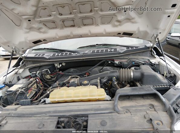 1FTEX1EB2KKE89249 2019 FORD F150 White Հետևի տեսք