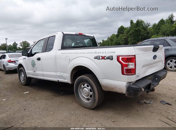 1FTEX1EB2KKE89249 2019 FORD F150 White Սալոնի 360 աստիճան տեսք
