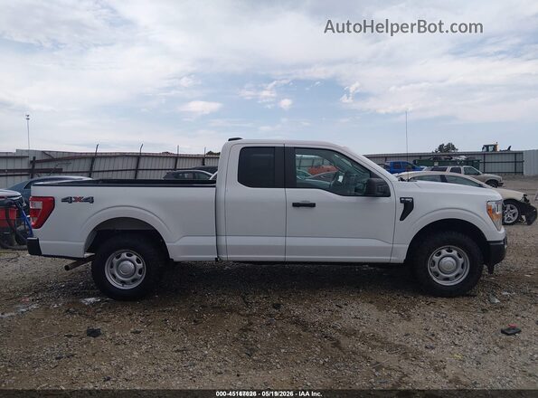 1FTEX1EB8MFB38485 2021 FORD F150 White Սալոնի հետևի տեսք