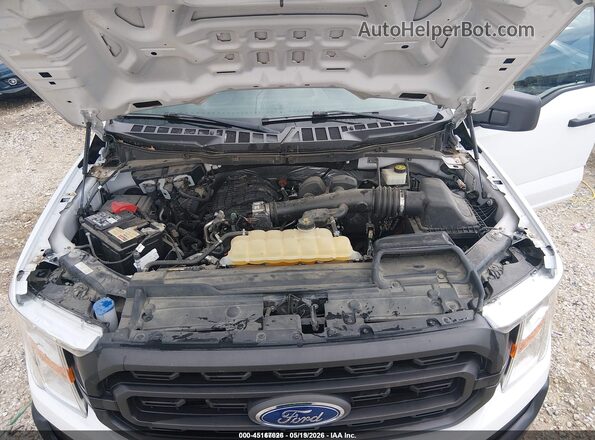1FTEX1EB8MFB38485 2021 FORD F150 White Հետևի տեսք