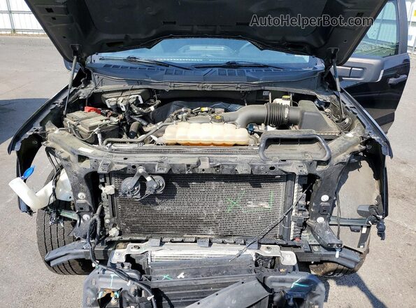 1FTEX1EP1MKE91203 2021 FORD F150 Black უკანა სალონის ხედი