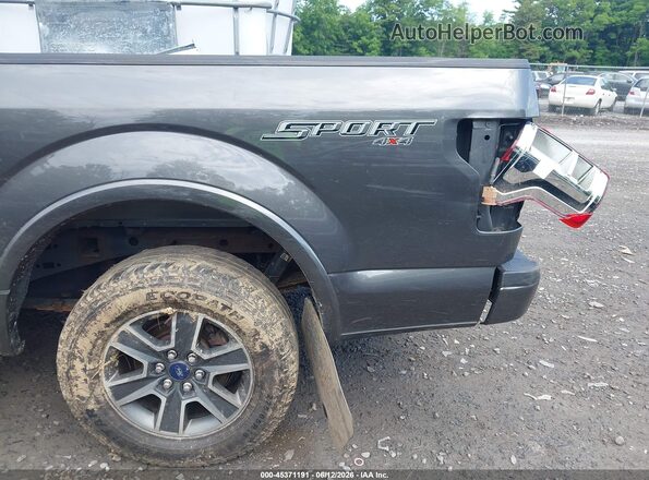 1FTEX1EP4GFB06682 2016 FORD F150 Gray Widok z przodu