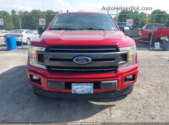 1FTEX1EP4LFB96734 2020 FORD F150 Red უკანა სალონის ხედი