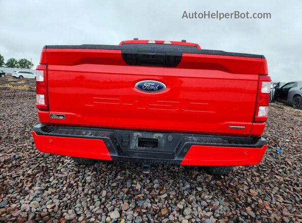 1FTEX1EP8PKD79471 2023 FORD F150 Red Հետևի տեսք