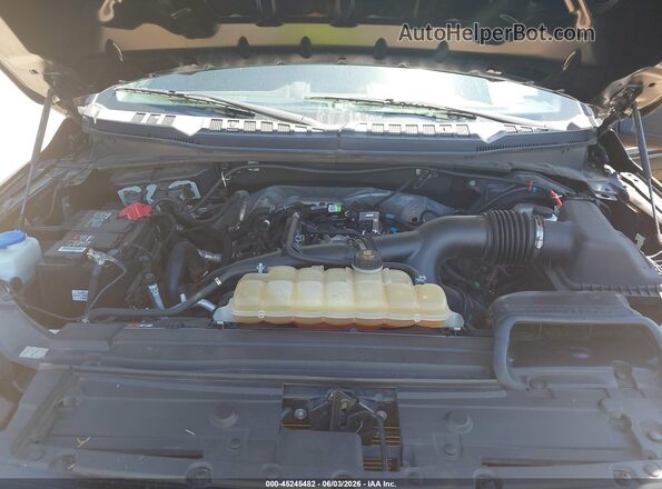 1FTEX1EP9LKE03948 2020 FORD F150 Black Widok z tyłu