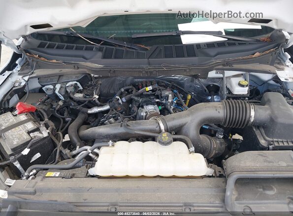 1FTEX1KP2SKD05721 2025 FORD F150 White Հետևի տեսք